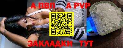 стаф Ярославль