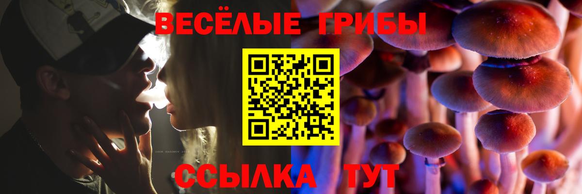 Галлюциногенные грибы MAGIC MUSHROOMS  Вход с VPN  Галлюциногенные грибы GOLDEN TEACHER  купить  сайты  Аргун 